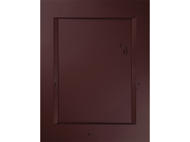 Wren door in Rustic Alder Carnelian Satin