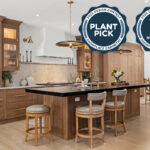 Stained white oak kitchen with a white hood.