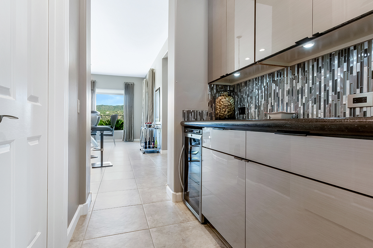 Gray gloss pantry cabinets